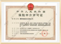 中华人民共和国保险中介许可证
